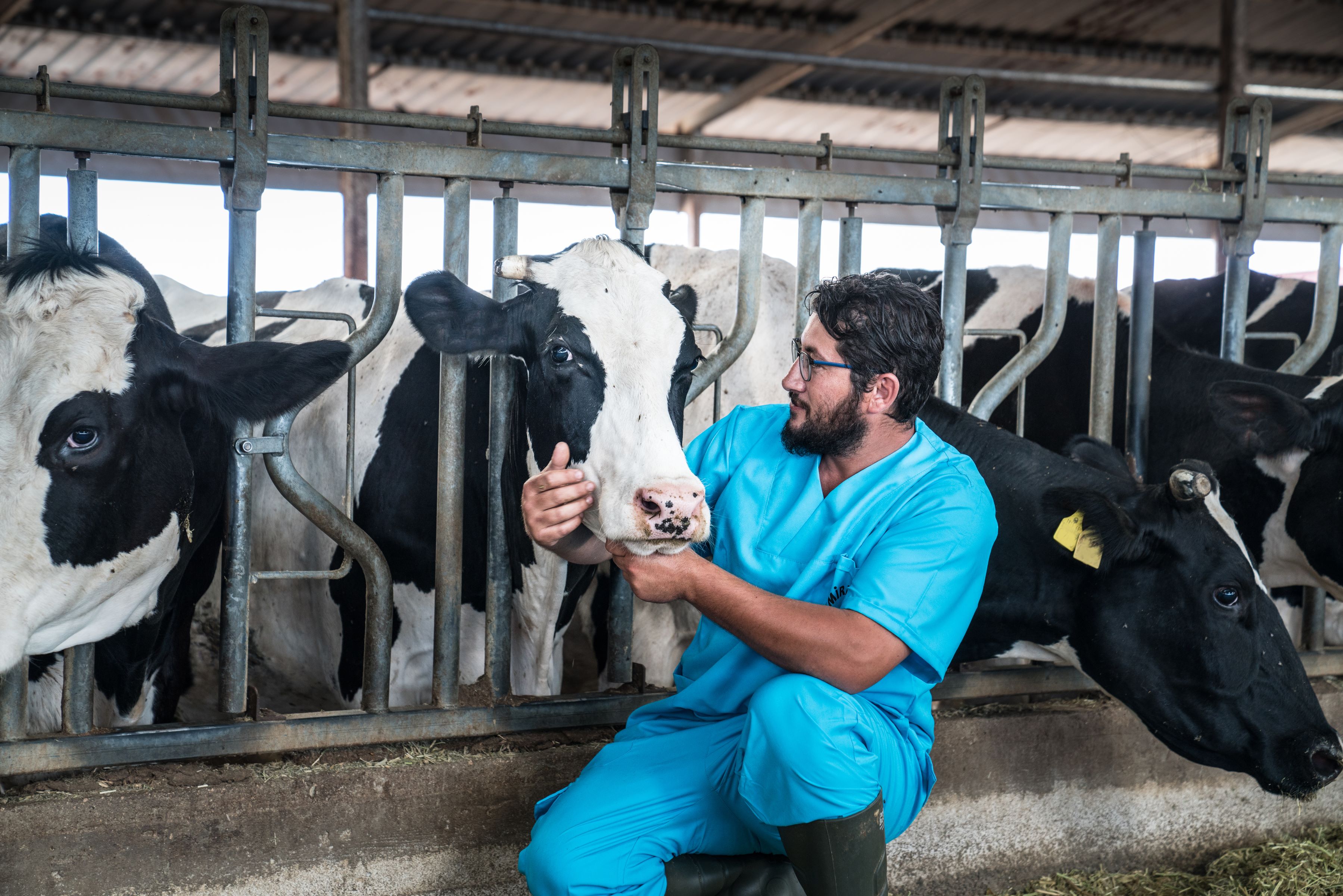 Large Animal Veterinary Use - Eli-Vet AHN